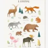 Affiche Animaux D’Europe Living Earth LILIPINSO Marron – Lilipinso 17