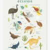 Affiche Animaux D’Océanie Living Earth LILIPINSO Marron – Lilipinso 17